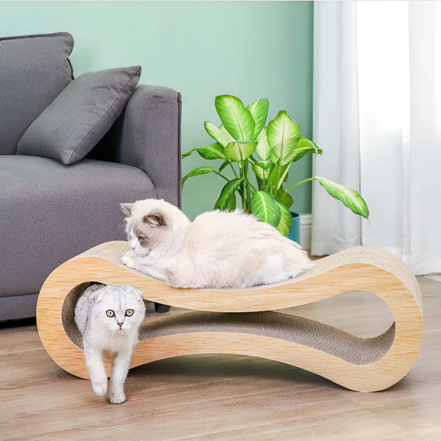 Curved Cat Scratcher Lounge with Built-In Claw Rest