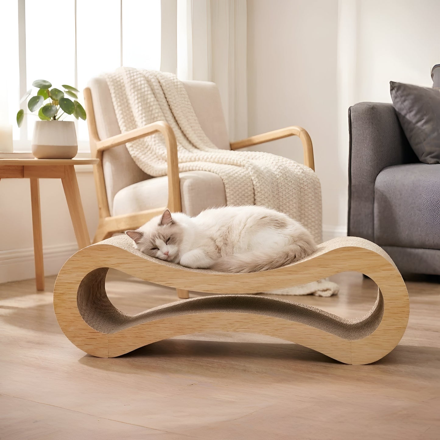 Curved Cat Scratcher Lounge with Built-In Claw Rest