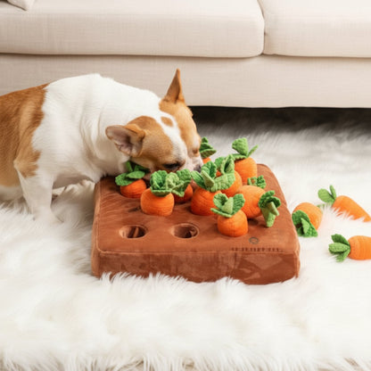 Carrot Snuffle Mat for Dogs – Interactive Puzzle Toy for Treats, Training and Mental Stimulation