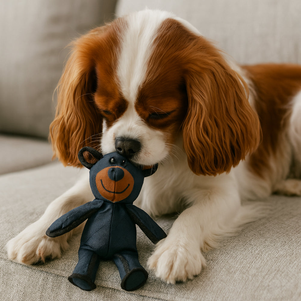 Durable Plush Bear-Shaped Dog Chew Toy – Safe, Fun Play Accessory