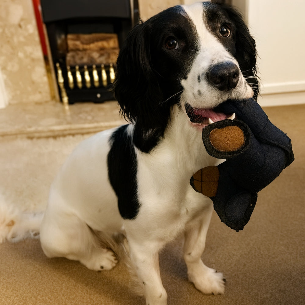 Durable Plush Bear-Shaped Dog Chew Toy – Safe, Fun Play Accessory