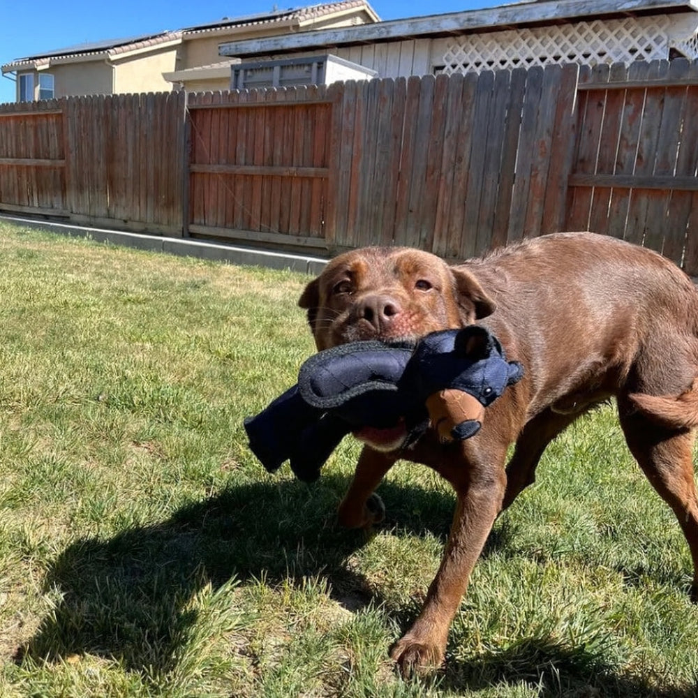 Durable Plush Bear-Shaped Dog Chew Toy – Safe, Fun Play Accessory