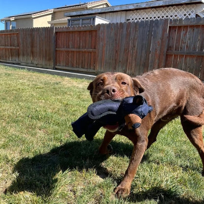 Durable Plush Bear-Shaped Dog Chew Toy – Safe, Fun Play Accessory