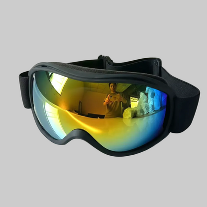 Anti-Fog UV Protection Ski & Snowboard Goggles with Dual-Lens
