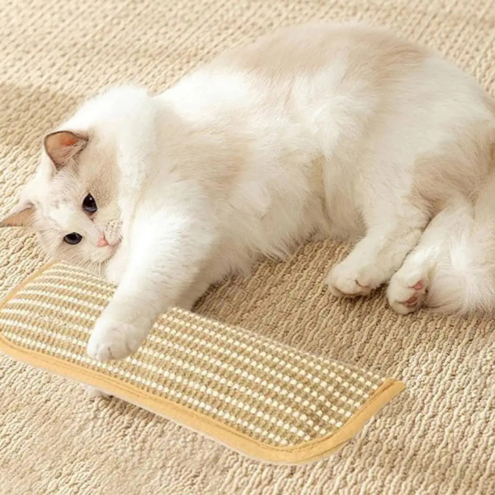 Durable Cat Scratching Pillow with a Soft, Cozy Surface