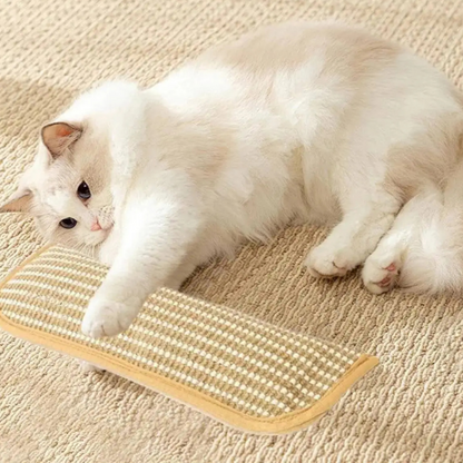 Durable Cat Scratching Pillow with a Soft, Cozy Surface