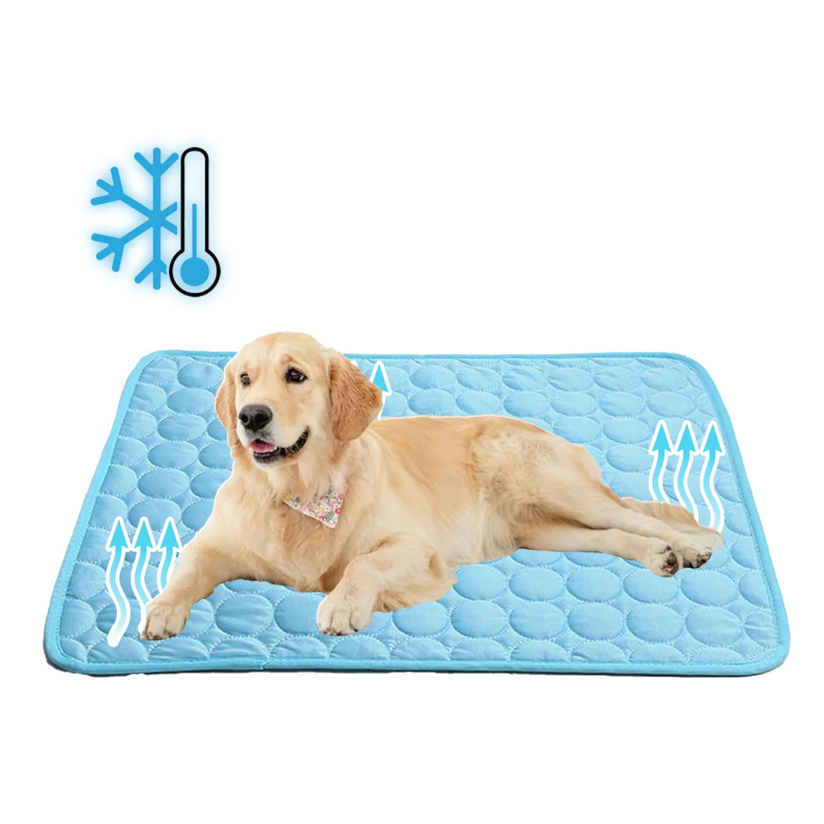 Dog Cooling Mat - Heat-Resistant Cooling Pad for Pets