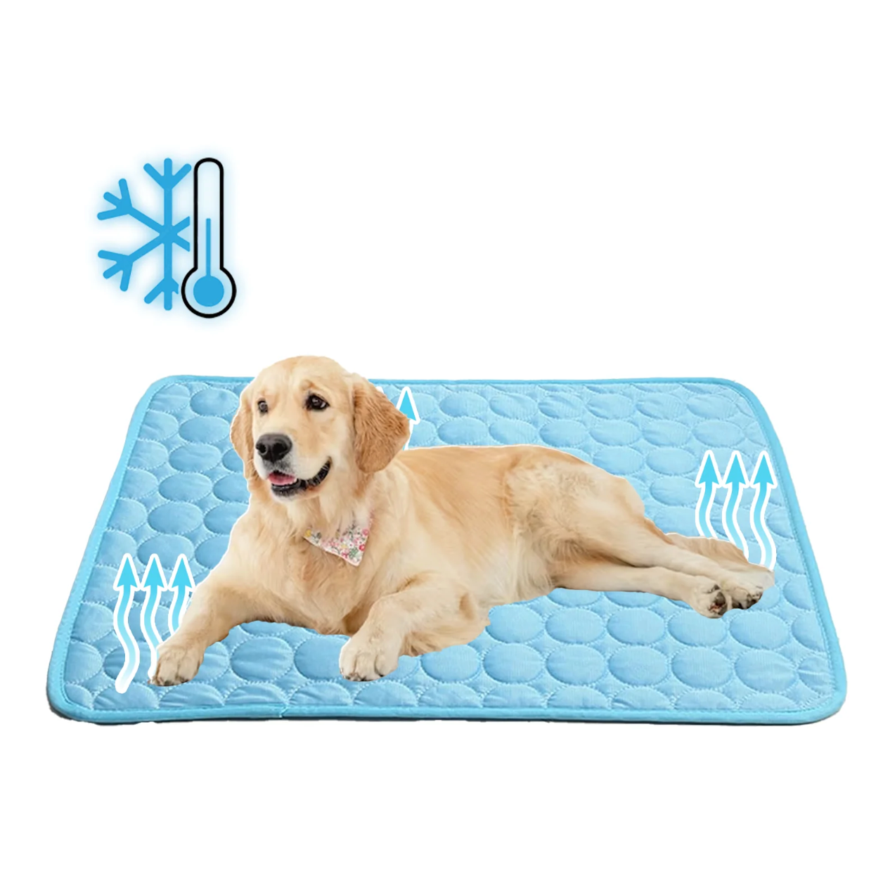 Dog Cooling Mat - Heat-Resistant Cooling Pad for Pets