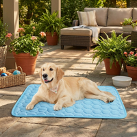 Dog Cooling Mat lifestyle