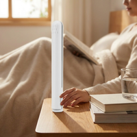 Cordless Mini Hair Straightener