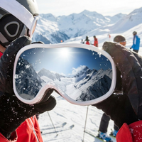 Anti-Fog Ski & Snowboard Goggles