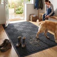 Entryway Door Mat Dirt-Trapping Floor Rug