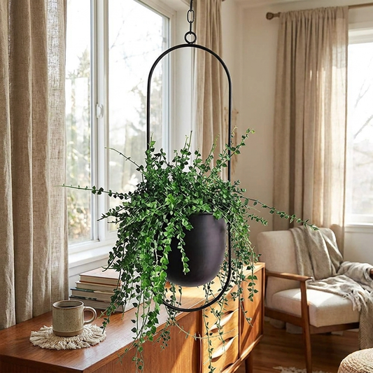 FloraFrame Hanging Planter