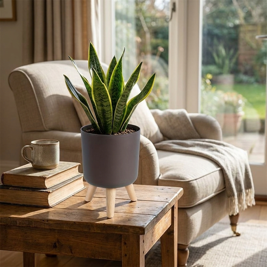 Chic Round Planter with Wooden Legs