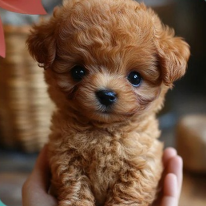 Cuddly Interactive Plush Puppy Toy with Realistic Moving Features
